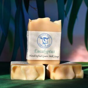 Eucalyptus Soap